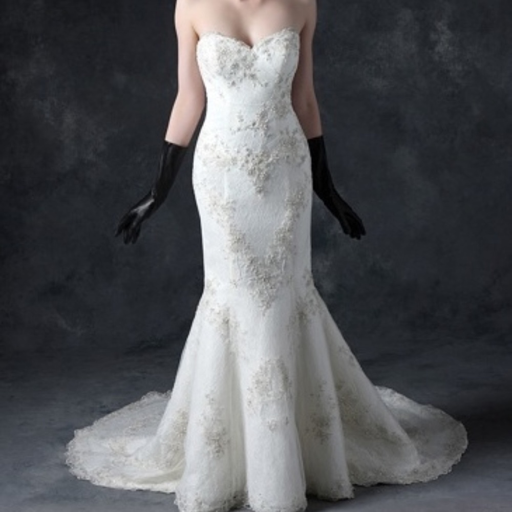 Michelle Roth Fit & Flare Wedding Gown w/ Veil
